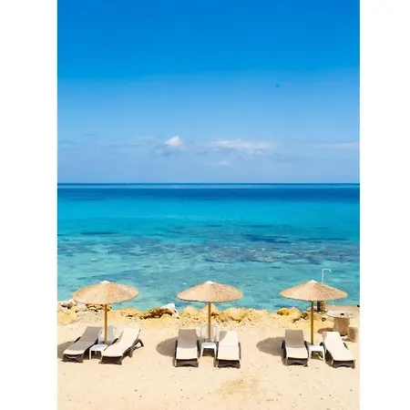 Antonio * Kalpaki (Zakynthos)